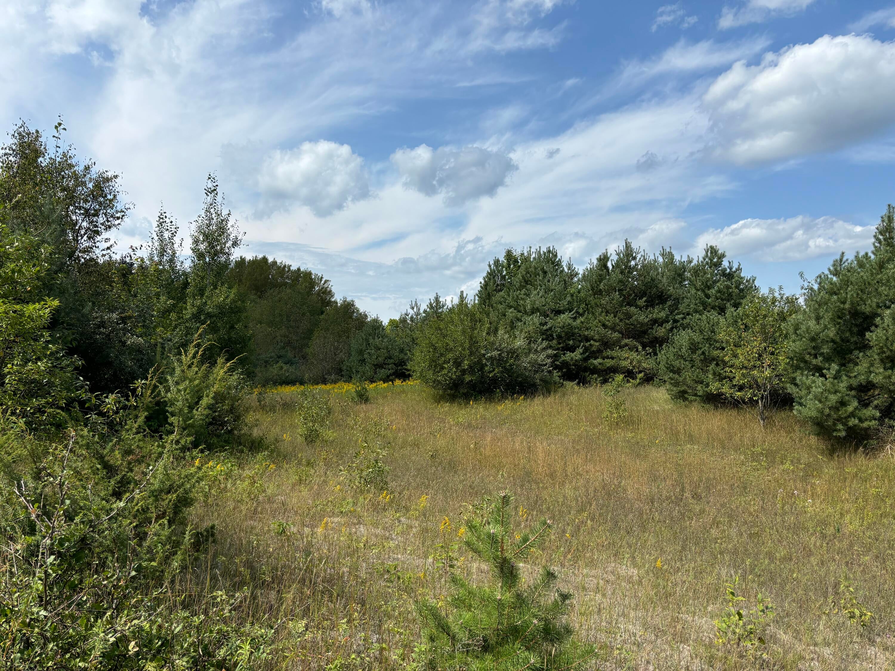 1637 McGregor Road Vanderbilt, MI 49795 - Photo 9 of 40 Gallery Image 9