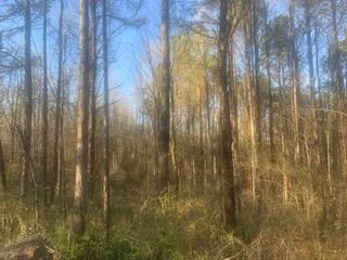0 Newby Road Southeast Cleveland, TN 37323 - Photo 5 of 12 Gallery Image 5