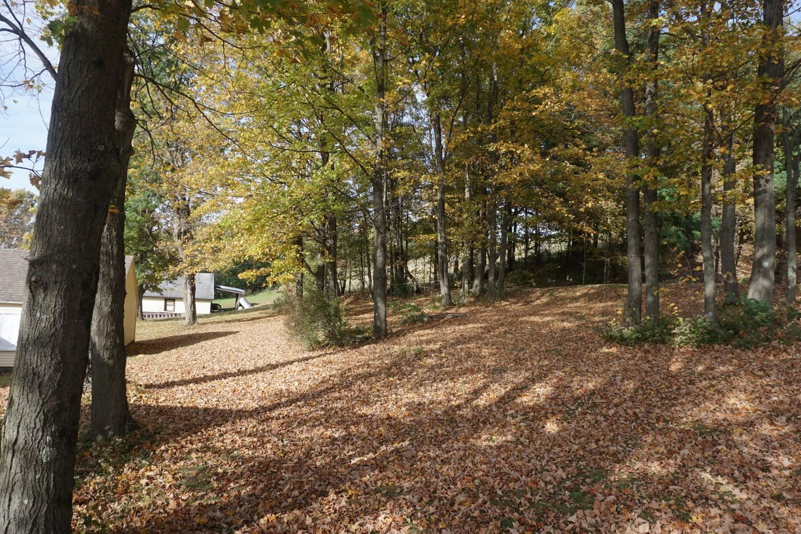 13195 Rte 116 Hinesburg, VT 05461 - Photo 4 of 13 Gallery Image 4