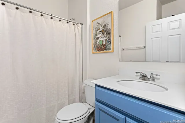 a bathroom with a sink a toilet and shower curtain