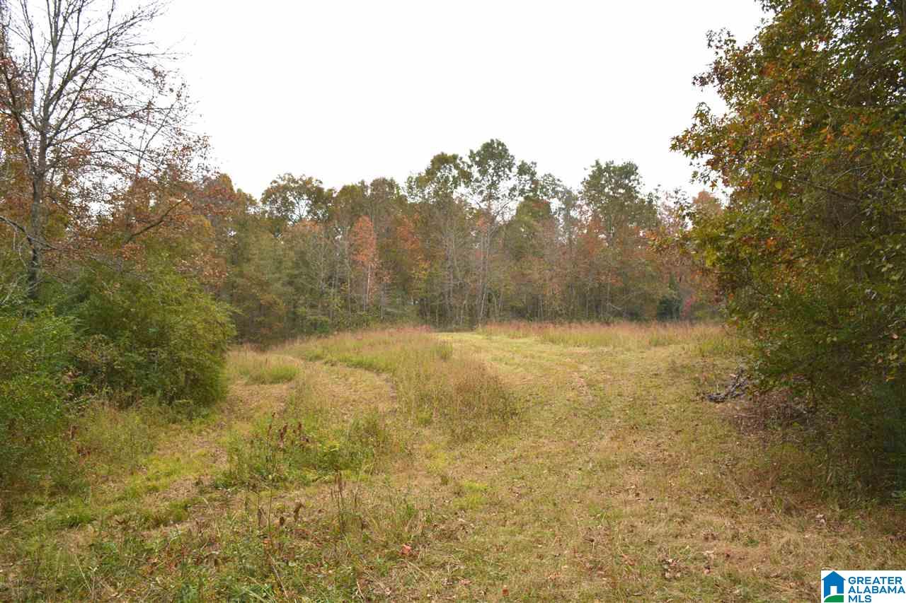 0 Jackson Loop Road, Unit 1 Ragland, AL 35131 - Photo 19 of 27