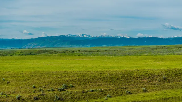 $800,000 | 339 St Highway, Sheridan, WY 82801