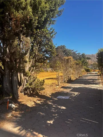 a view of a yard with a tree