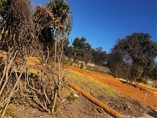 a view of a yard with trees in the background