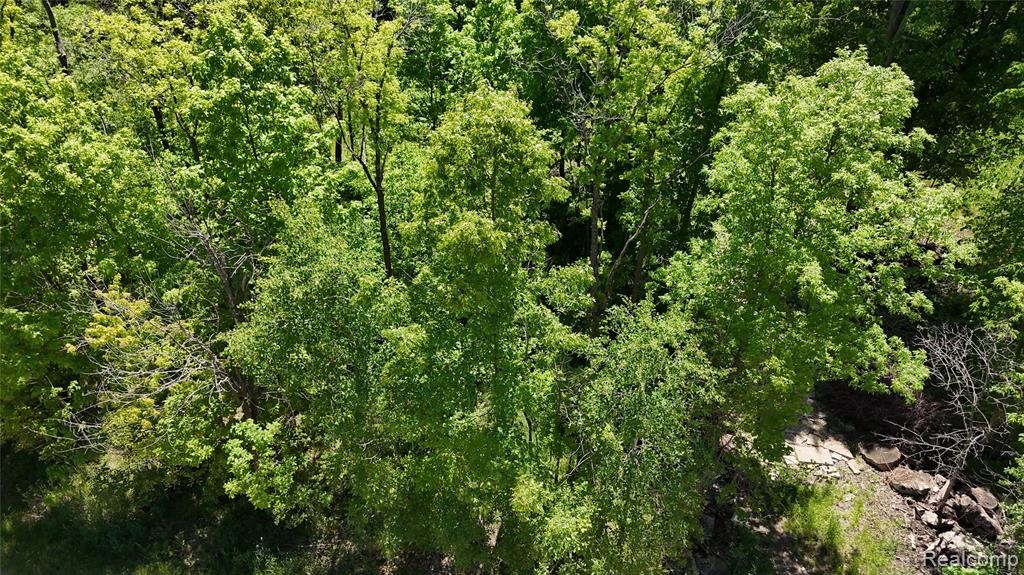 0 Williams Road Gaines, MI 48436 - Photo 7 of 28