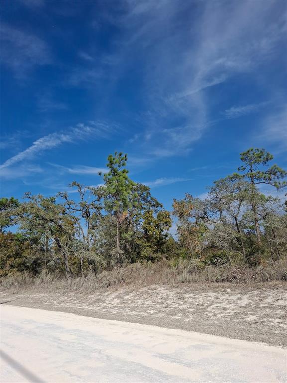15176 Gonzo Road Weeki Wachee, FL 34614 - Photo 4 of 9 a view of a dry yard with wooden fence