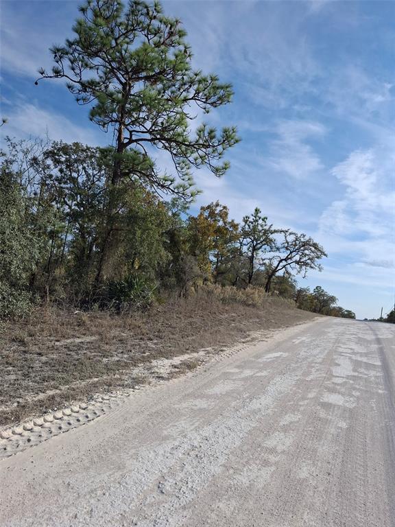 15176 Gonzo Road Weeki Wachee, FL 34614 - Photo 7 of 9 a view of a yard with a tree
