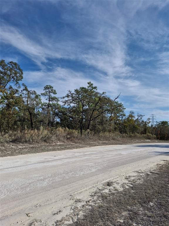 15176 Gonzo Road Weeki Wachee, FL 34614 - Photo 8 of 9 a view of a yard with a tree
