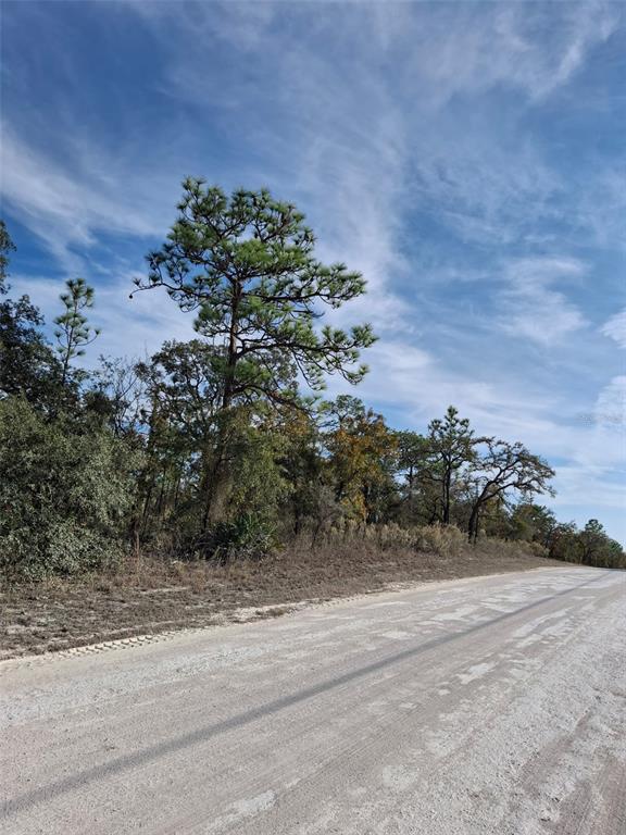 15176 Gonzo Road Weeki Wachee, FL 34614 - Photo 9 of 9 a view of a garden