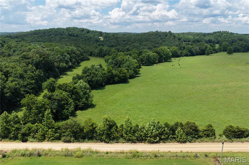 Tbd Fairview Road Imboden, AR 72434 - Photo 14 of 24