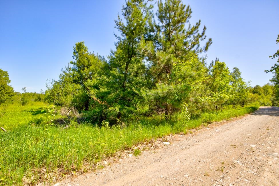 Nettleton Road Marinette, WI 54143 - Photo 15 of 21