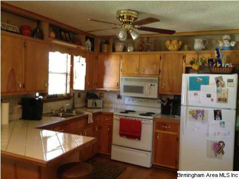 7914 Bethel Road Dora, AL 35062 - Photo 8 of 25