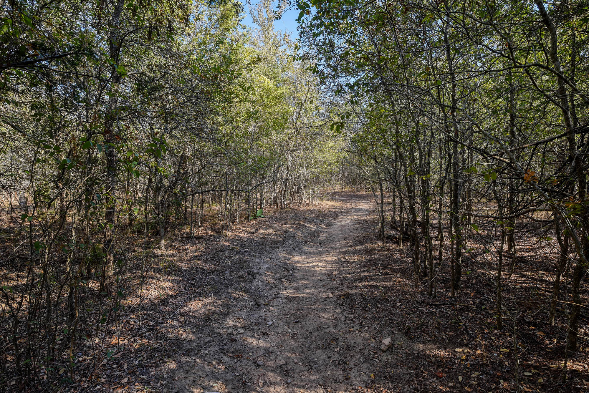 183 Clover Road Cedar Creek, TX 78612 - Photo 9 of 10