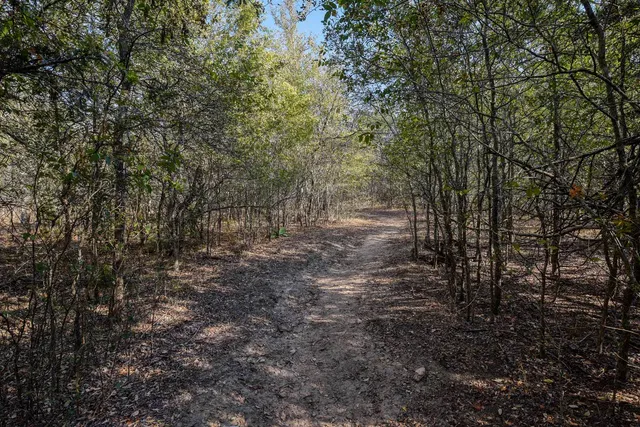 a view of a yard with a tree