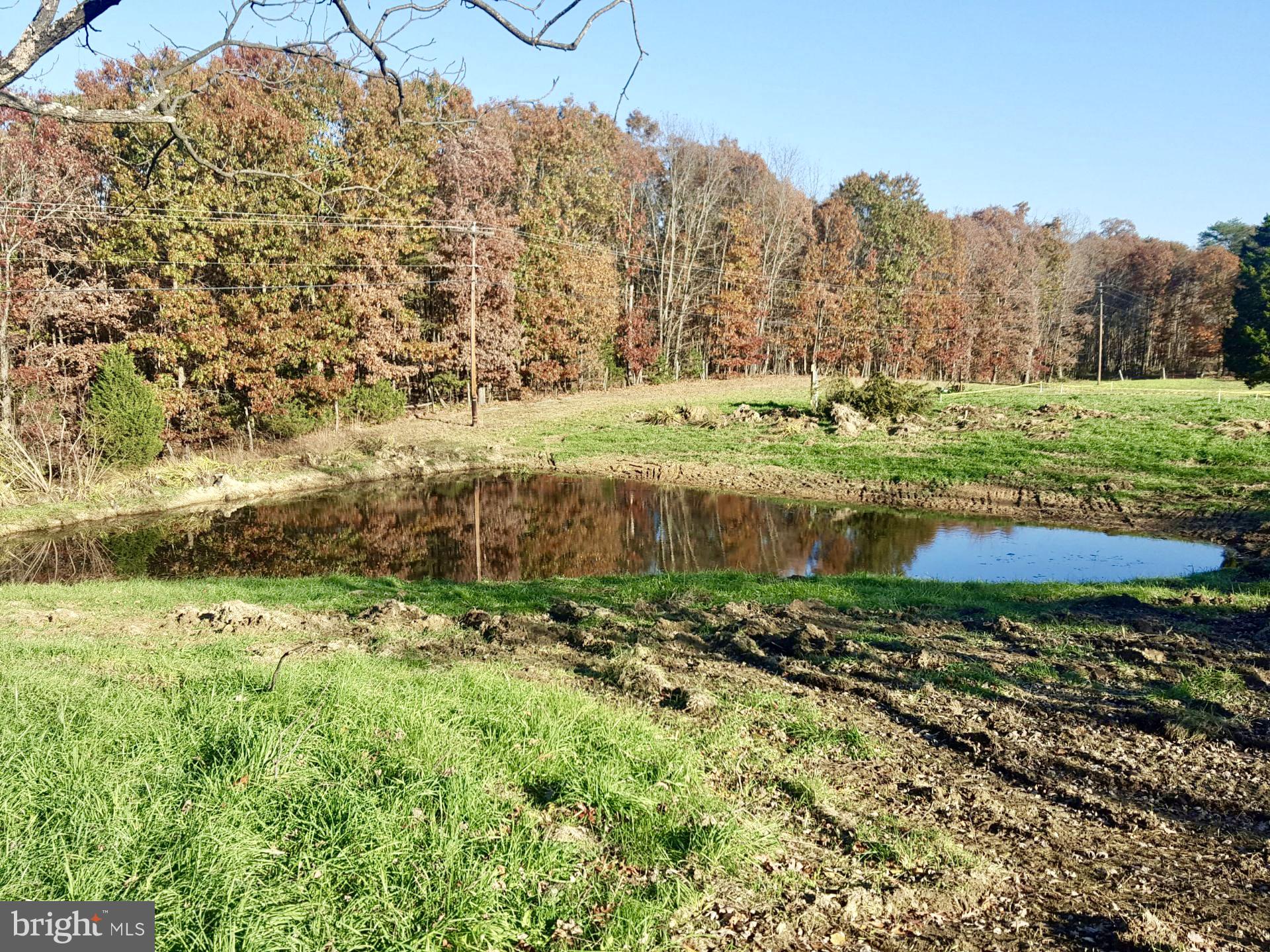 2965 Guard Hill Road Front Royal, VA 22630 - Photo 12 of 15 View of pond