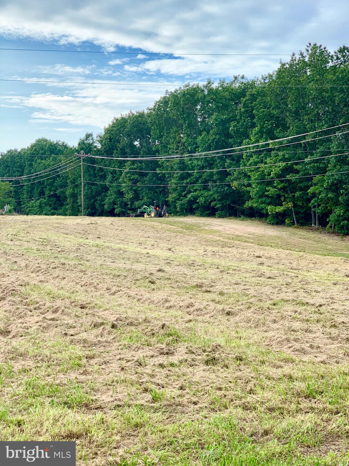2965 Guard Hill Road Front Royal, VA 22630 - Photo 5 of 15 View of back of property
