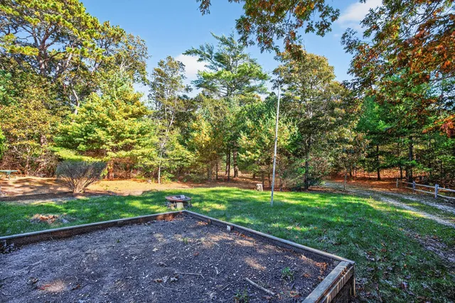 a view of a backyard with large trees