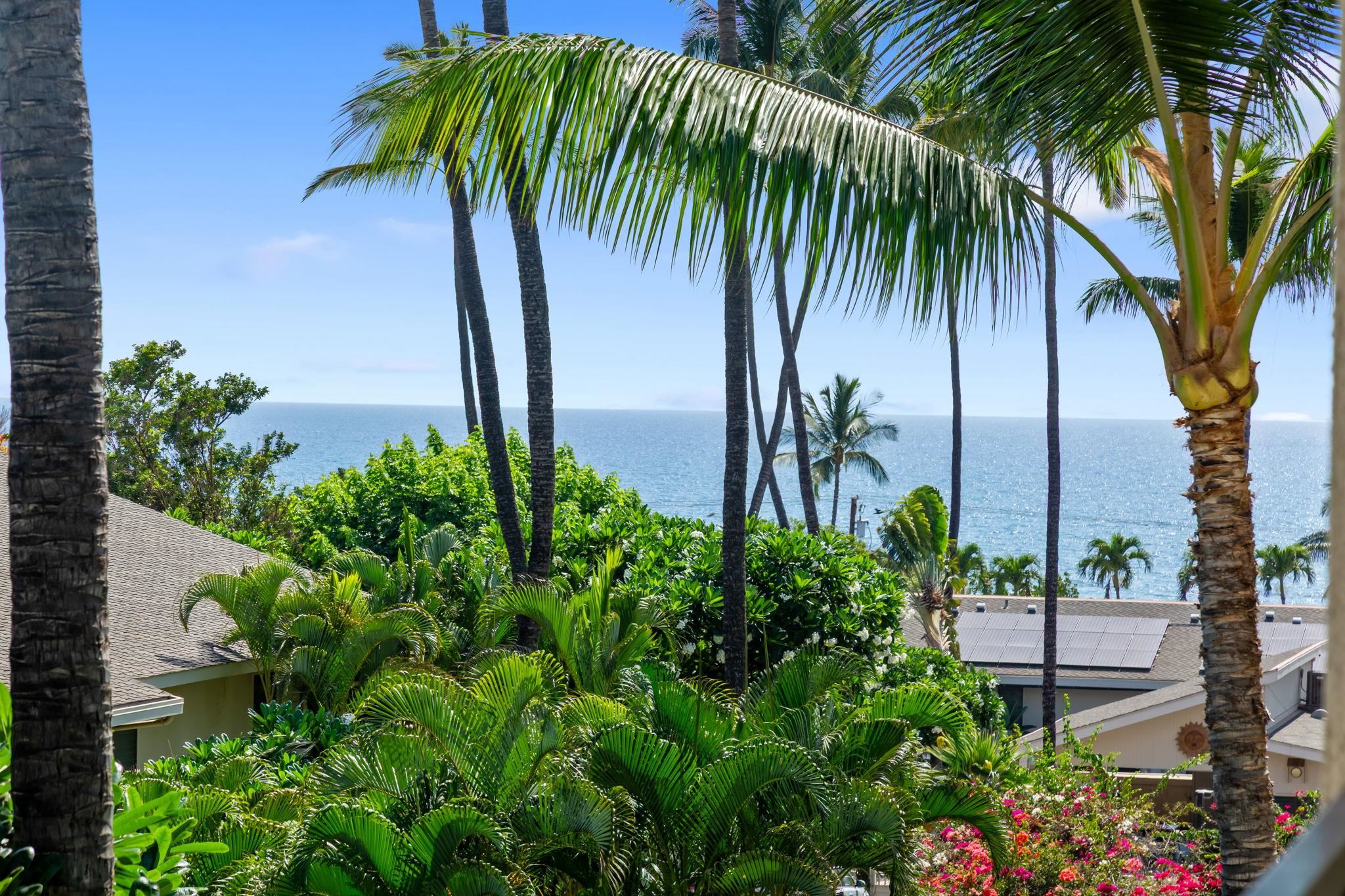 2531 South Kihei Road, Unit C414 Kihei, HI 96753 - Photo 39 of 47 a view of a palm trees