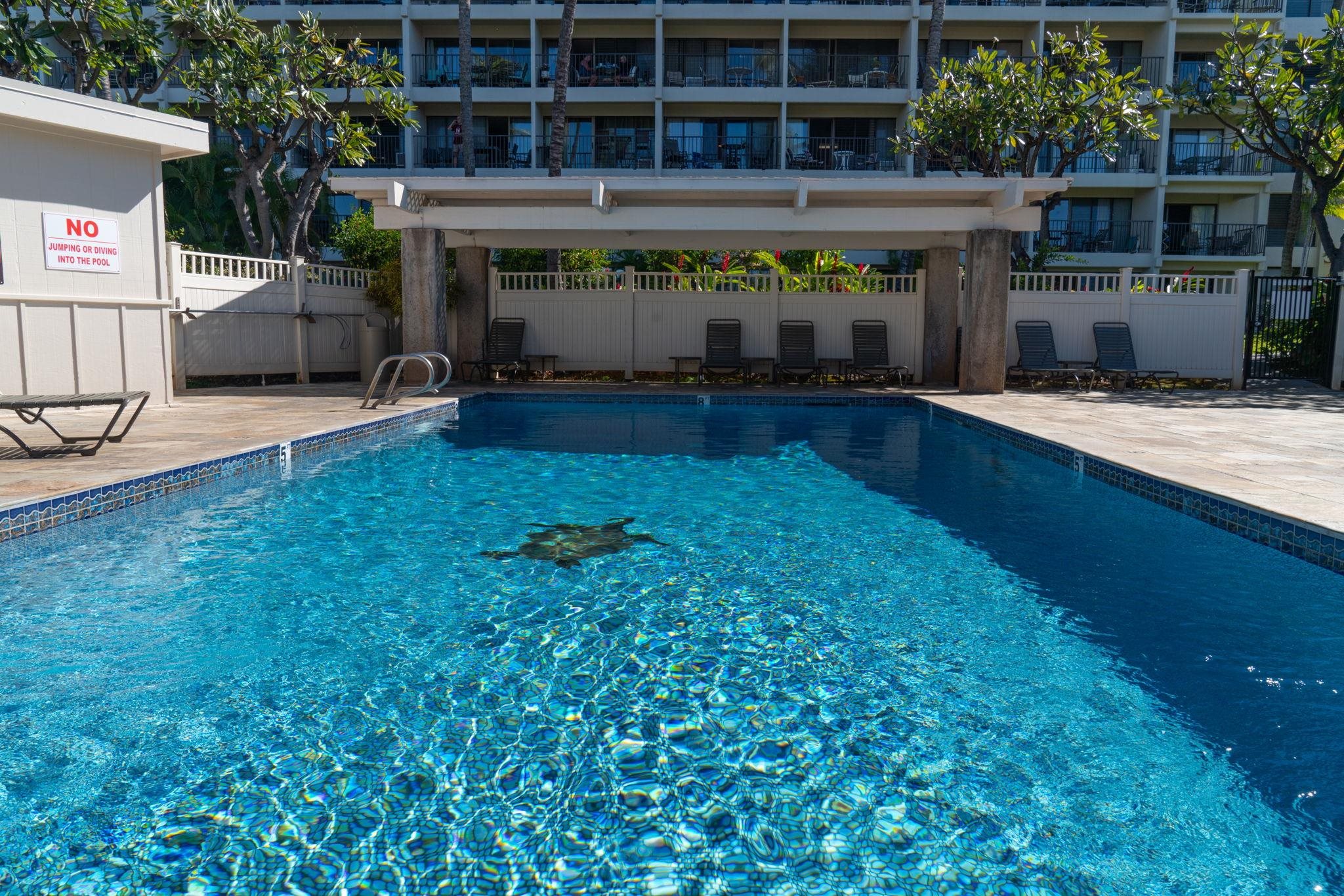 2531 South Kihei Road, Unit C414 Kihei, HI 96753 - Photo 45 of 47