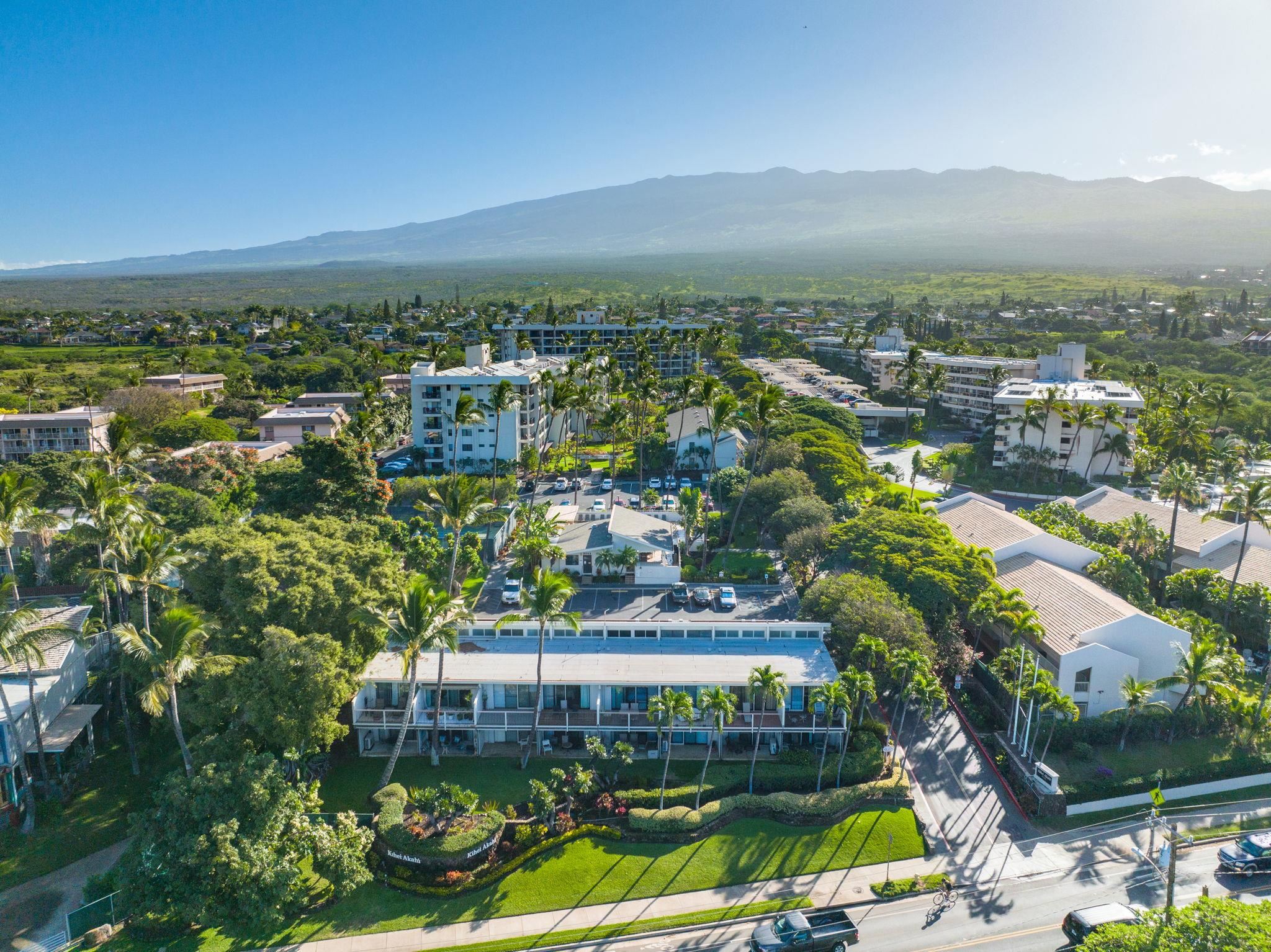 2531 South Kihei Road, Unit C414 Kihei, HI 96753 - Photo 46 of 47 a view of a city with tall buildings