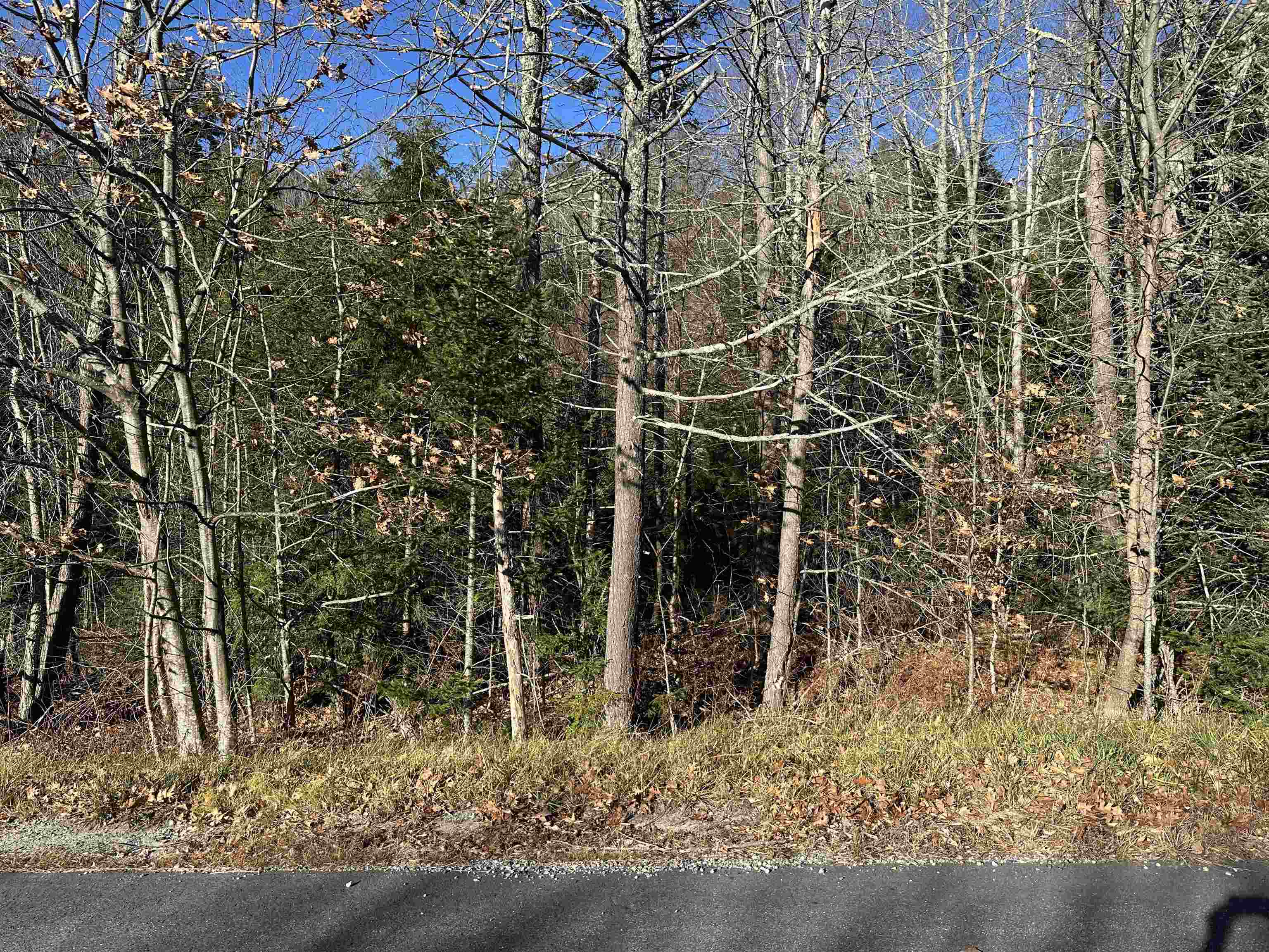 Lot 5 Timmothy Road Sunapee, NH 03782 - Photo 1 of 1