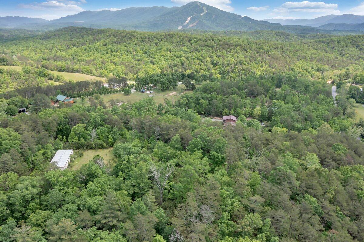 2965 Reesedale Road Elliston, VA 24087 - Photo 57 of 65 60