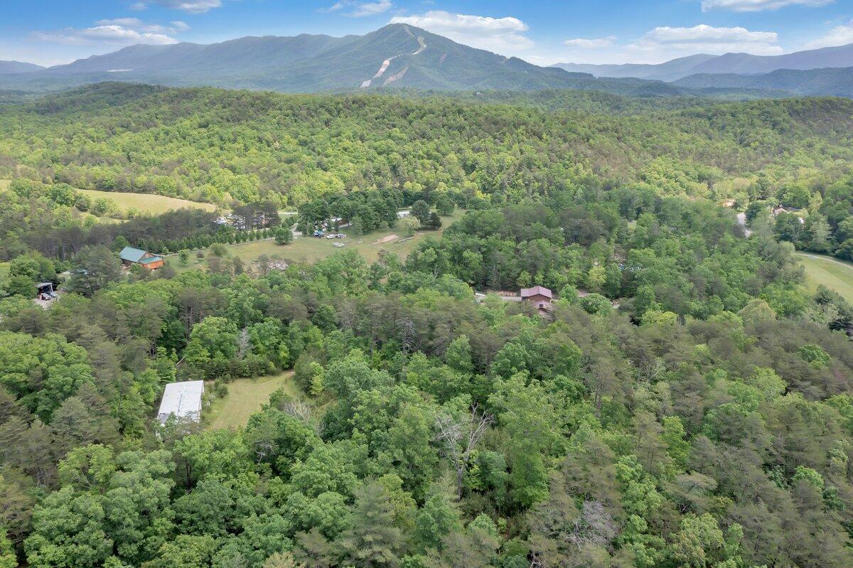 2965 Reesedale Road Elliston, VA 24087 - Photo 58 of 65 61
