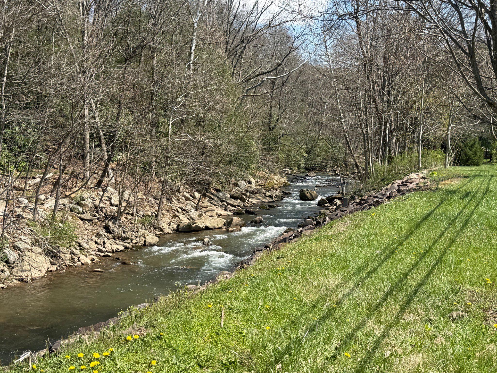 107 Walnut Street Friendsville, MD 21531 - Photo 8 of 8 Bear Creek Access
