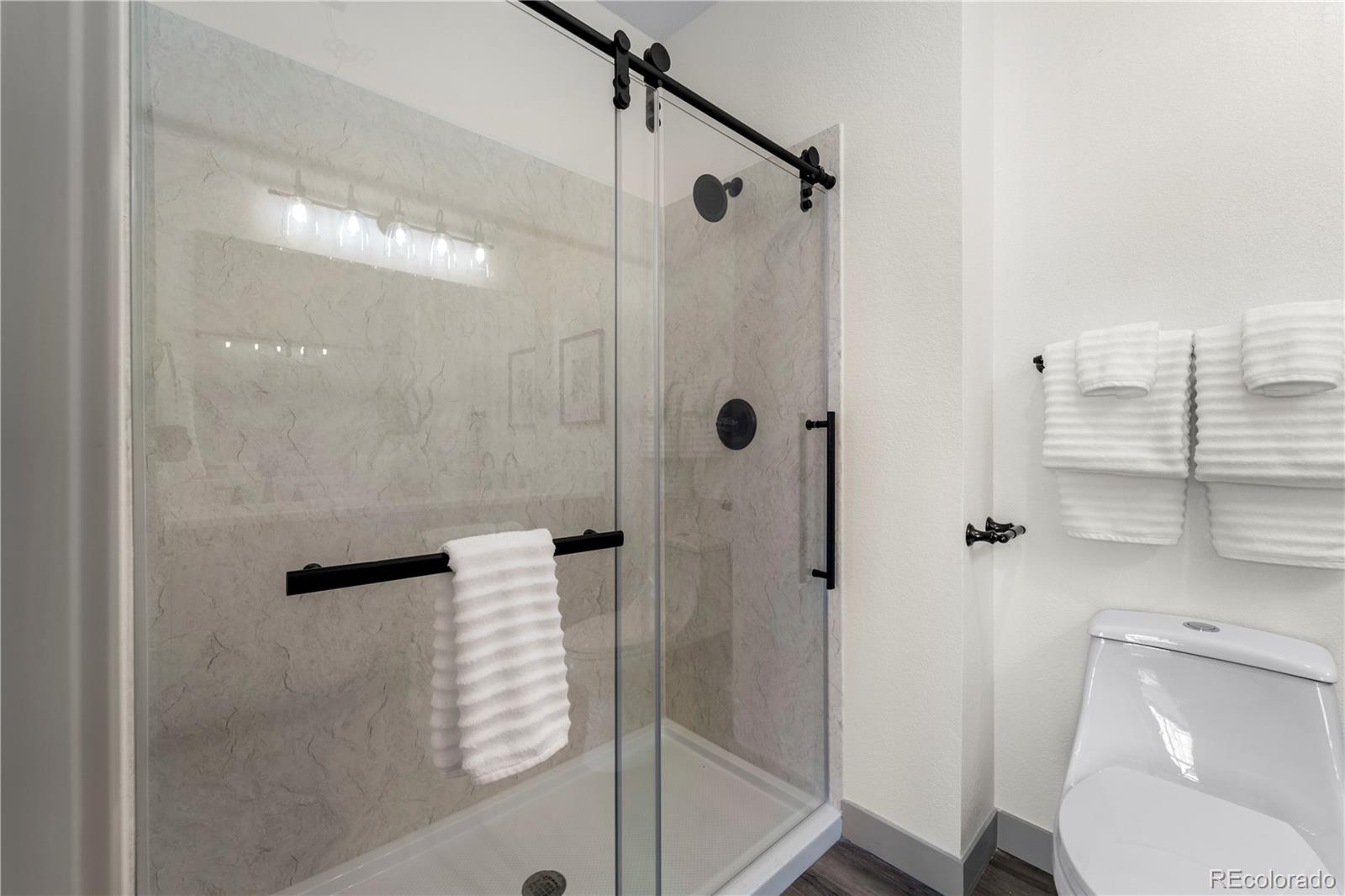 18645 Stroh Road, Unit 3 Parker, CO 80134 - Photo 25 of 32 a bathroom with a shower and toilet