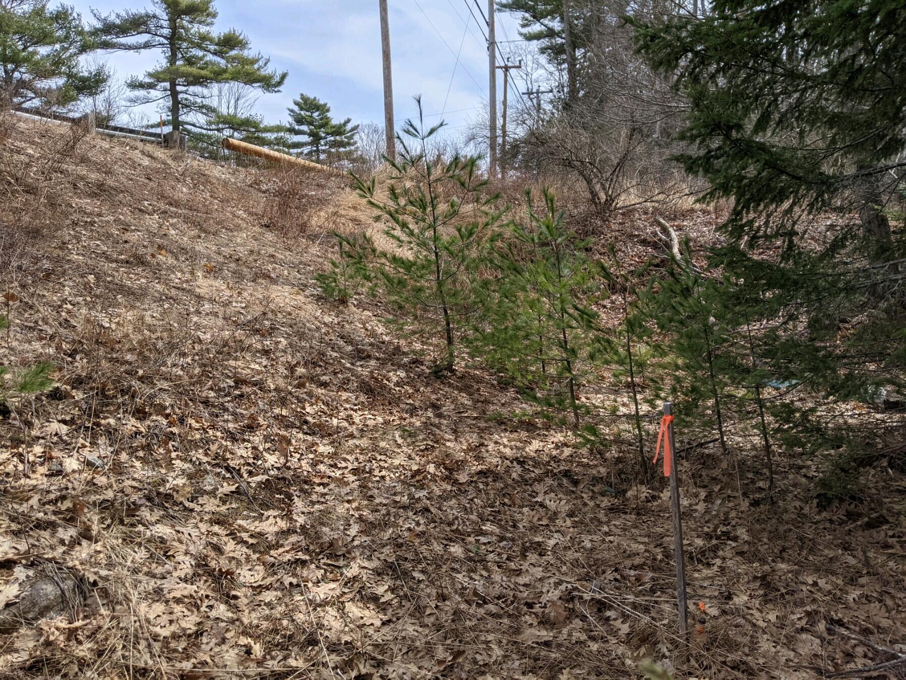 0 Arrowsic Road Bath, ME 04530 - Photo 5 of 12
