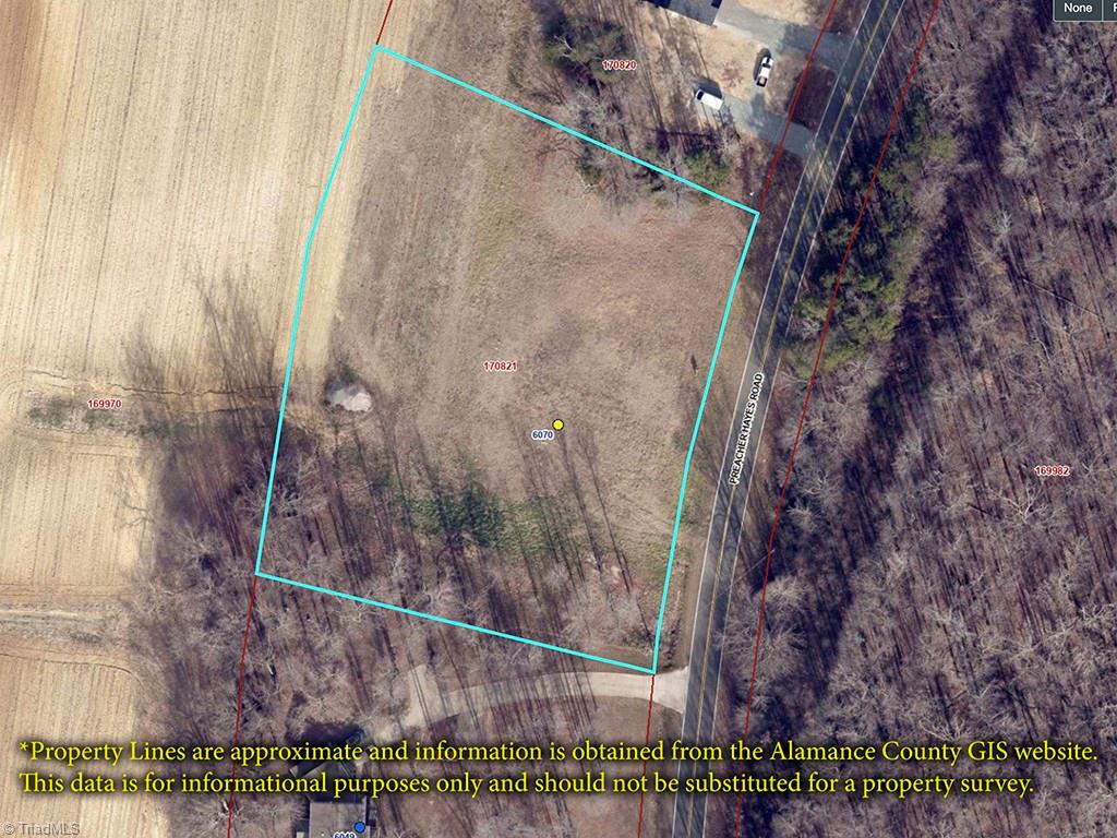 6070 Preacher Hayes Road Mebane, NC 27302 - Photo 1 of 12