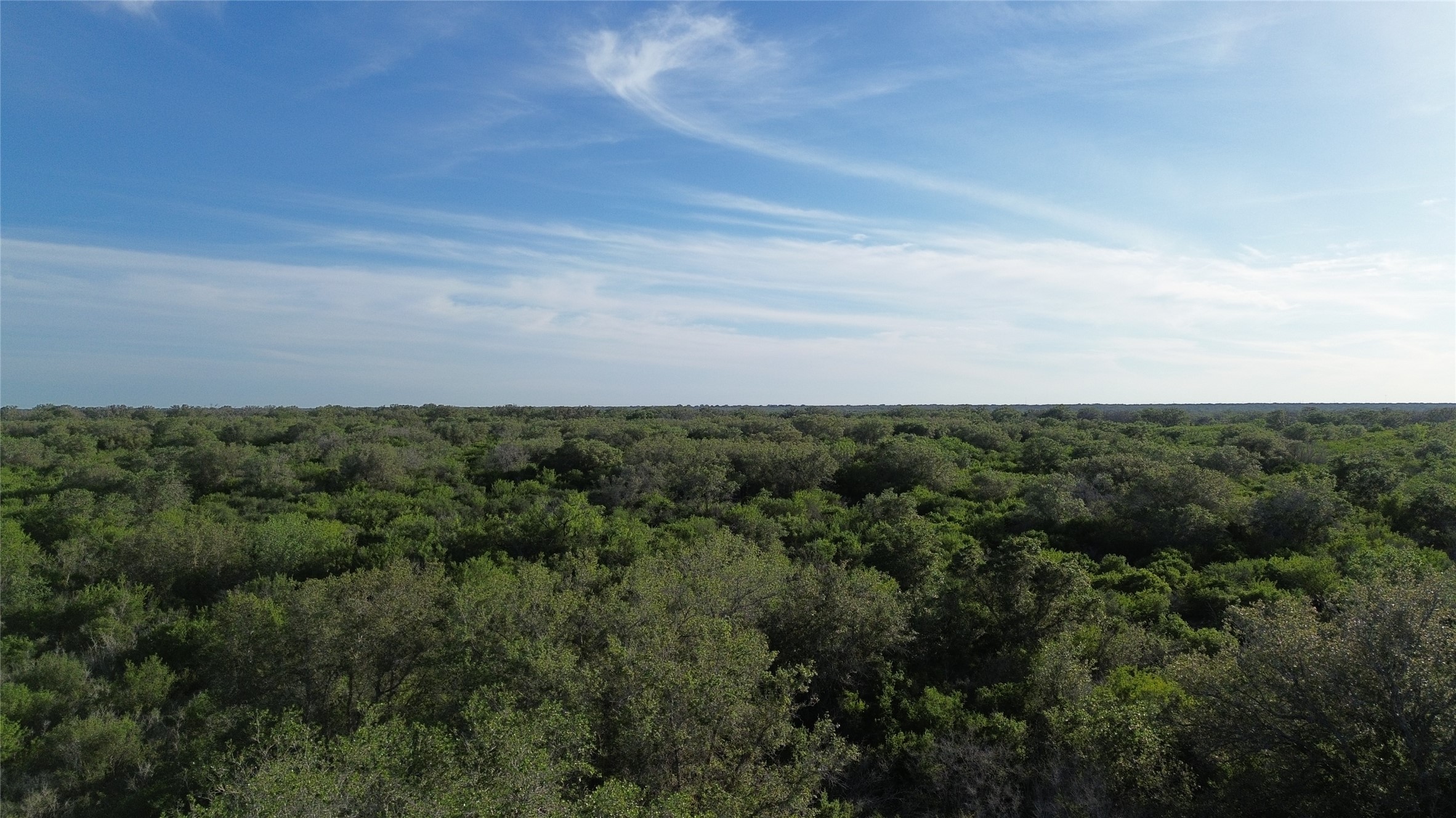 6104 Lucas Road Goliad, TX 77963 - Photo 19 of 32 a view of a field of grass and trees