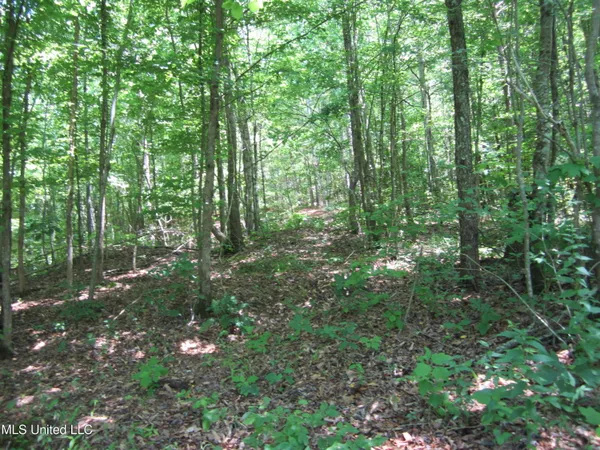 $298,310 | 7 Co Road, Hickory Flat, MS 38633