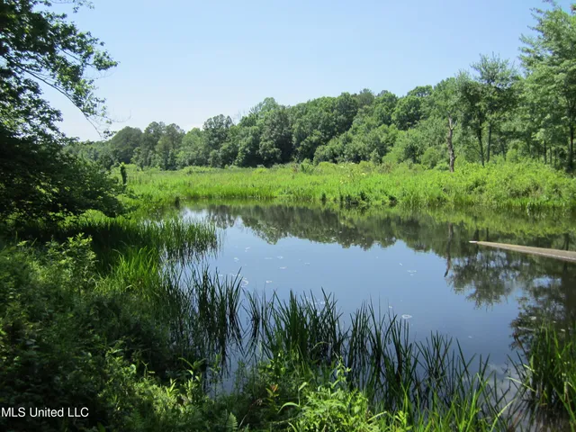 $298,310 | 7 Co Road, Hickory Flat, MS 38633