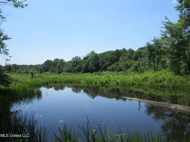 $298,310 | 7 Co Road, Hickory Flat, MS 38633