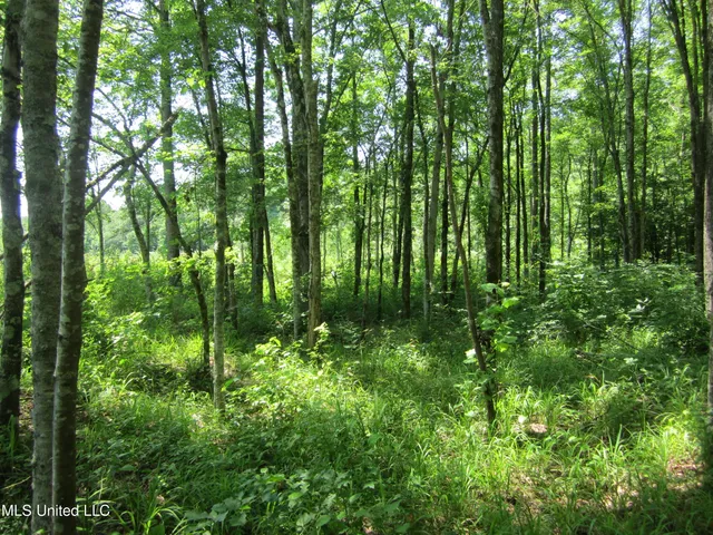 $298,310 | 7 Co Road, Hickory Flat, MS 38633