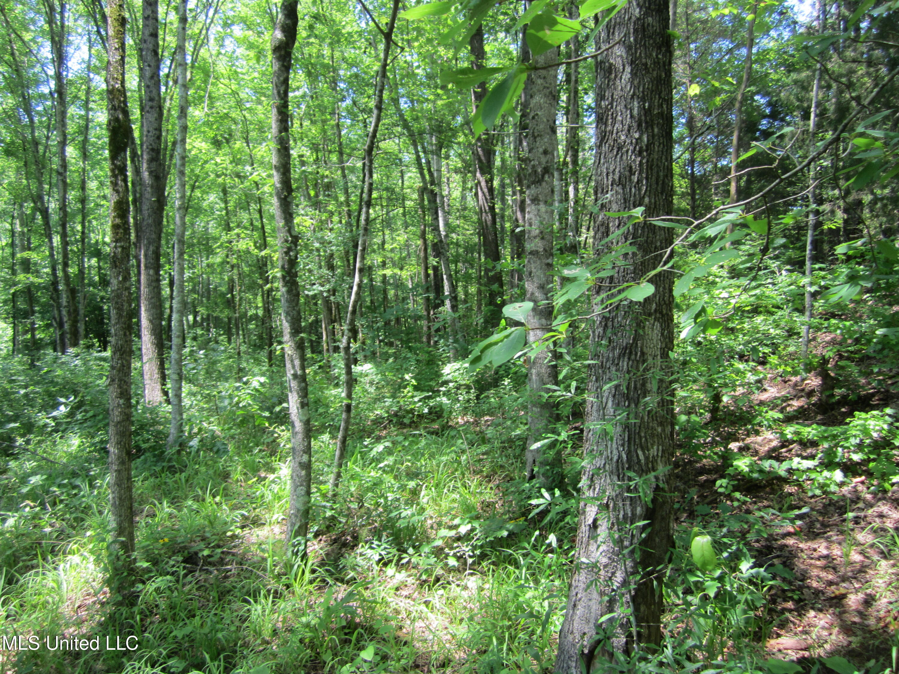 7 Co Road Hickory Flat, MS 38633 - Photo 15 of 20 IMG_7279