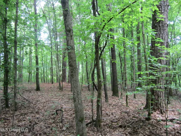 $298,310 | 7 Co Road, Hickory Flat, MS 38633