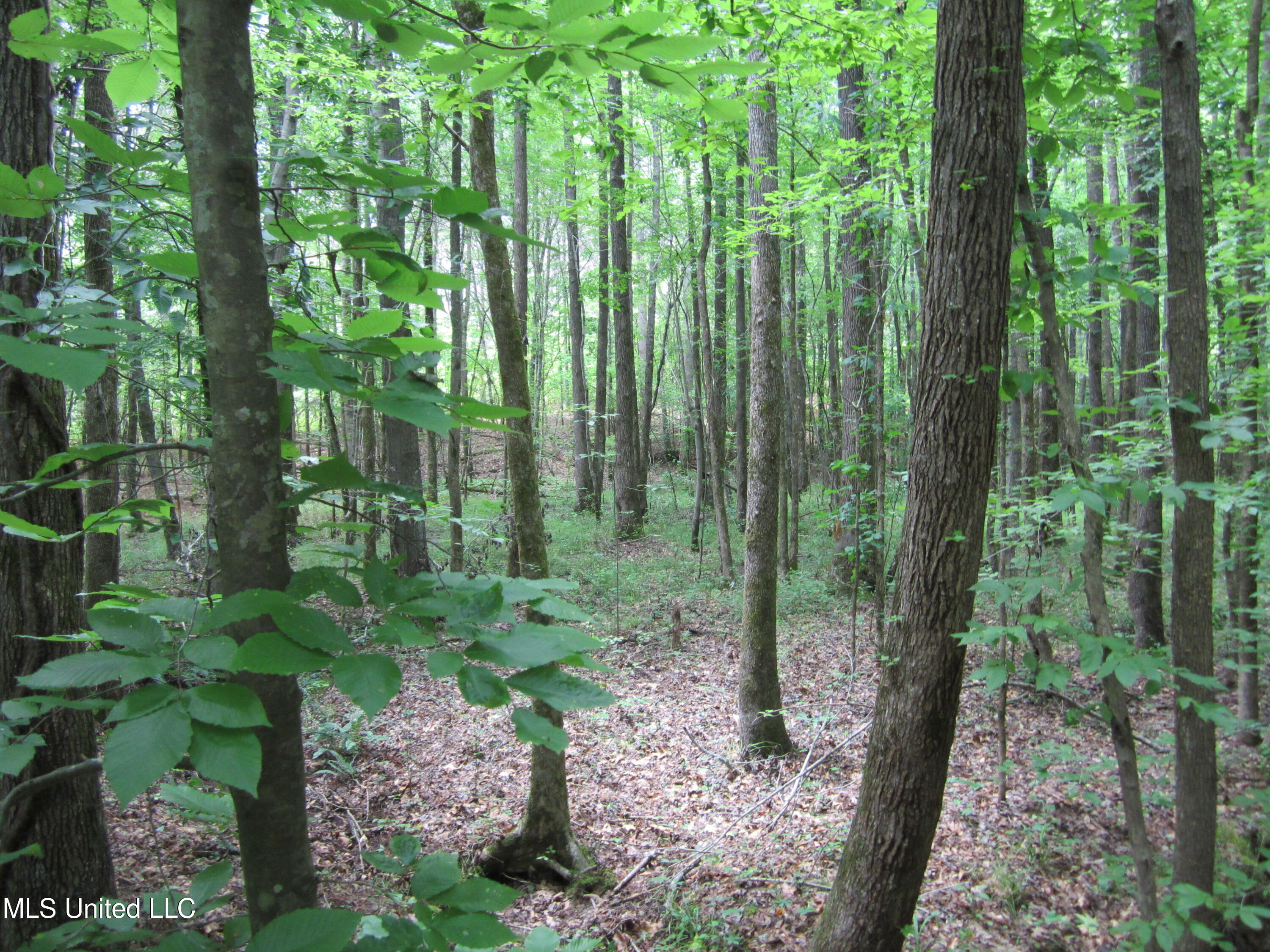 7 Co Road Hickory Flat, MS 38633 - Photo 17 of 20 IMG_7282