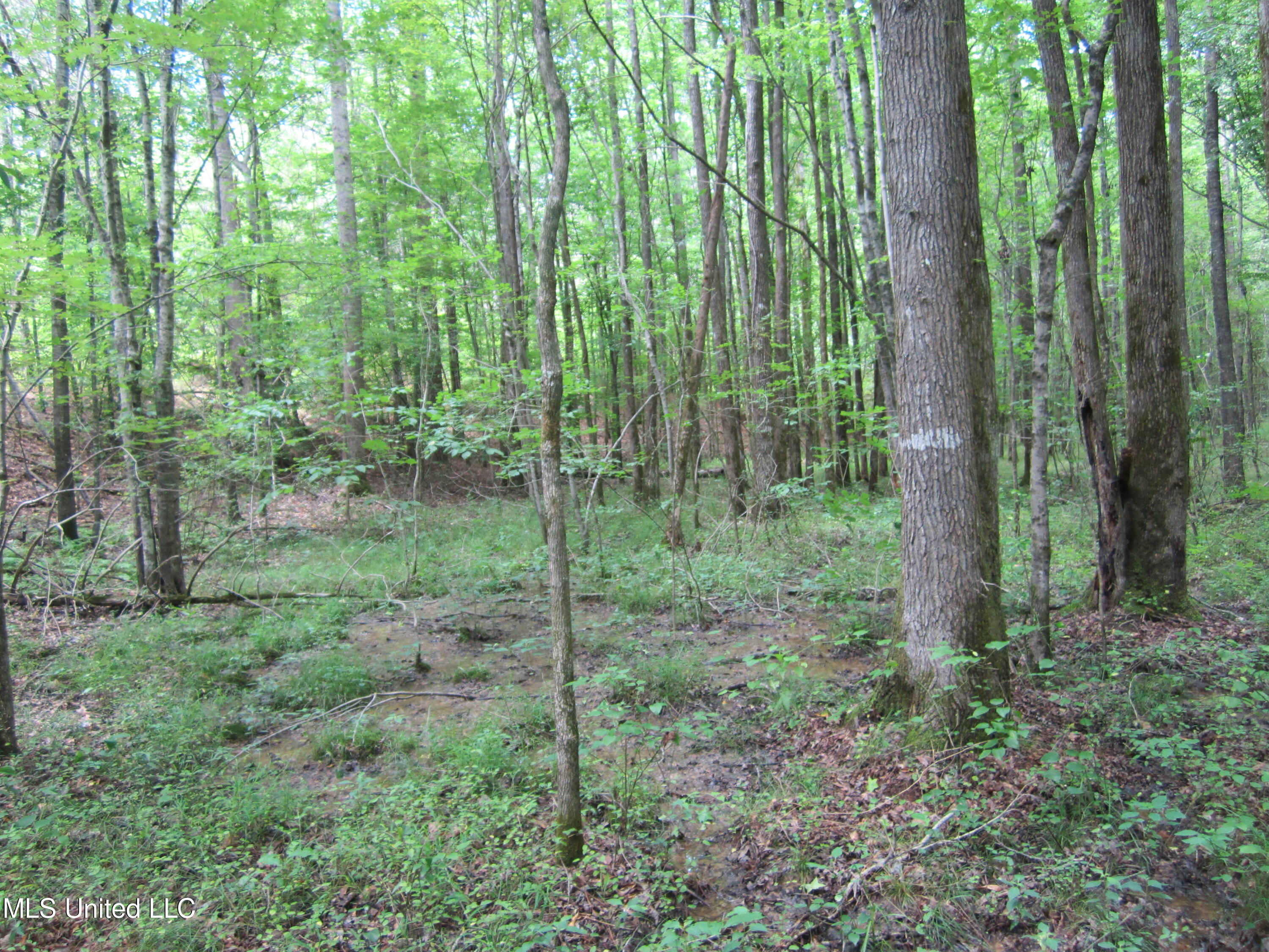 7 Co Road Hickory Flat, MS 38633 - Photo 18 of 20 IMG_7283