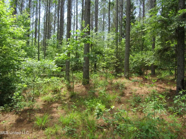 $298,310 | 7 Co Road, Hickory Flat, MS 38633