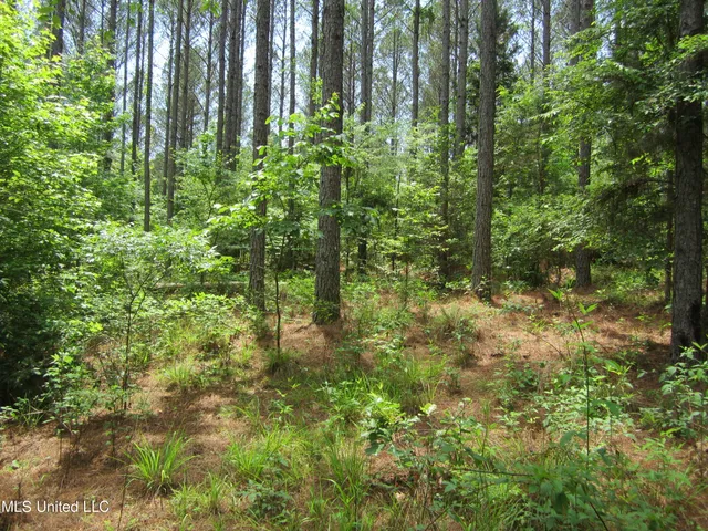 $298,310 | 7 Co Road, Hickory Flat, MS 38633