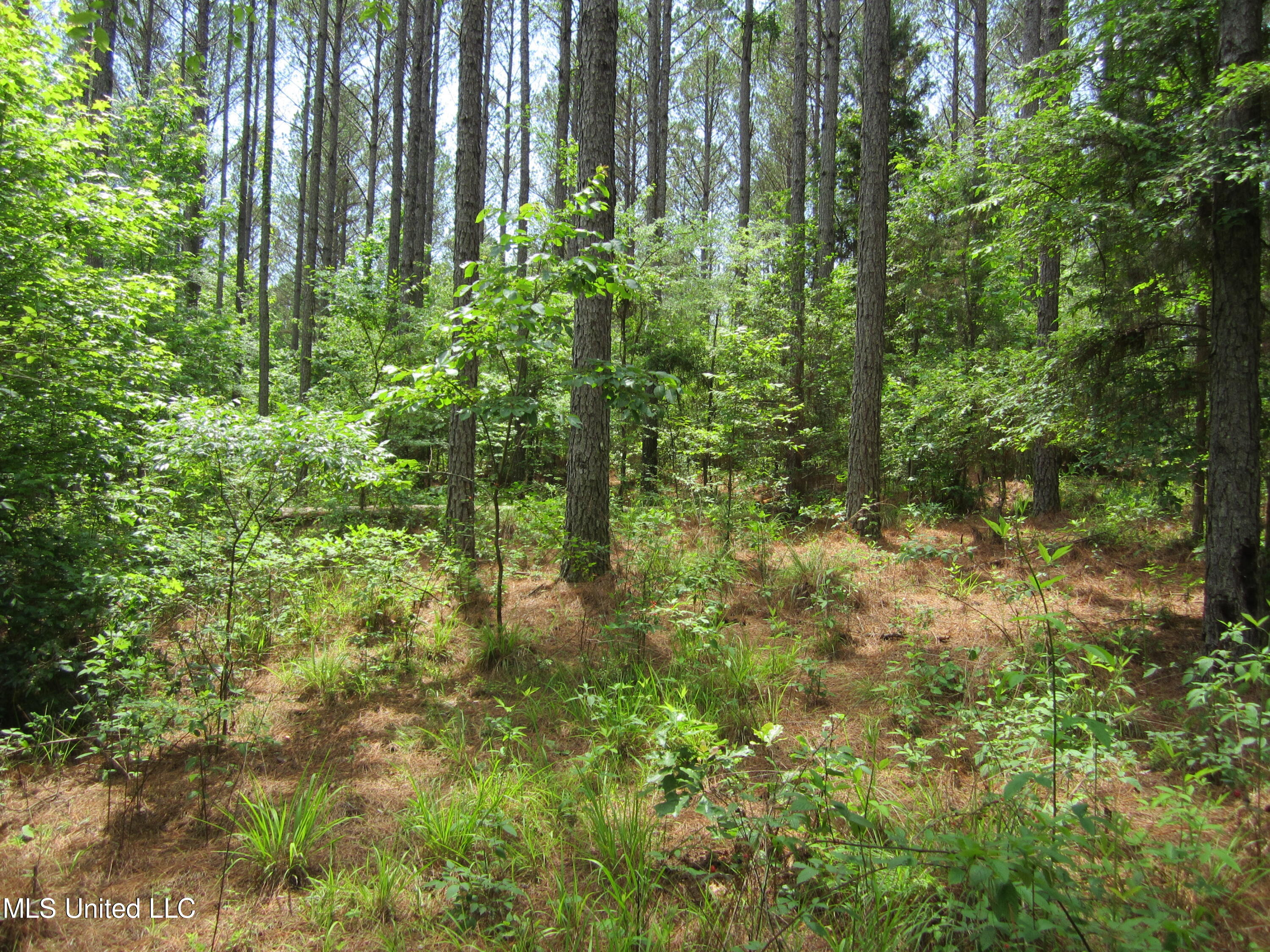 7 Co Road Hickory Flat, MS 38633 - Photo 19 of 20 IMG_7285