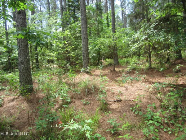 $298,310 | 7 Co Road, Hickory Flat, MS 38633