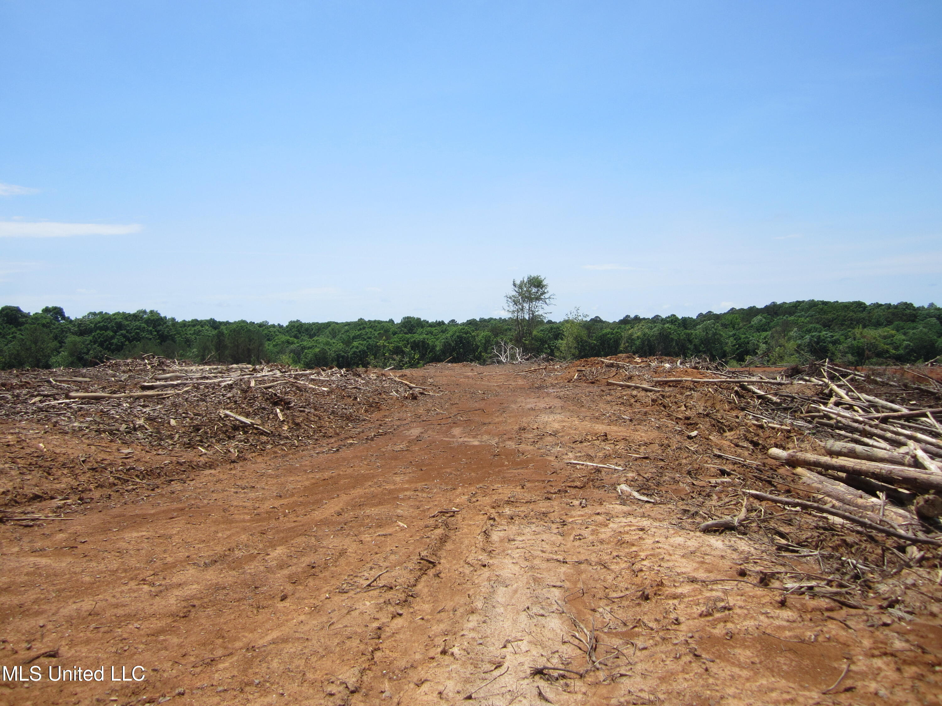 7 Co Road Hickory Flat, MS 38633 - Photo 3 of 20 IMG_7254