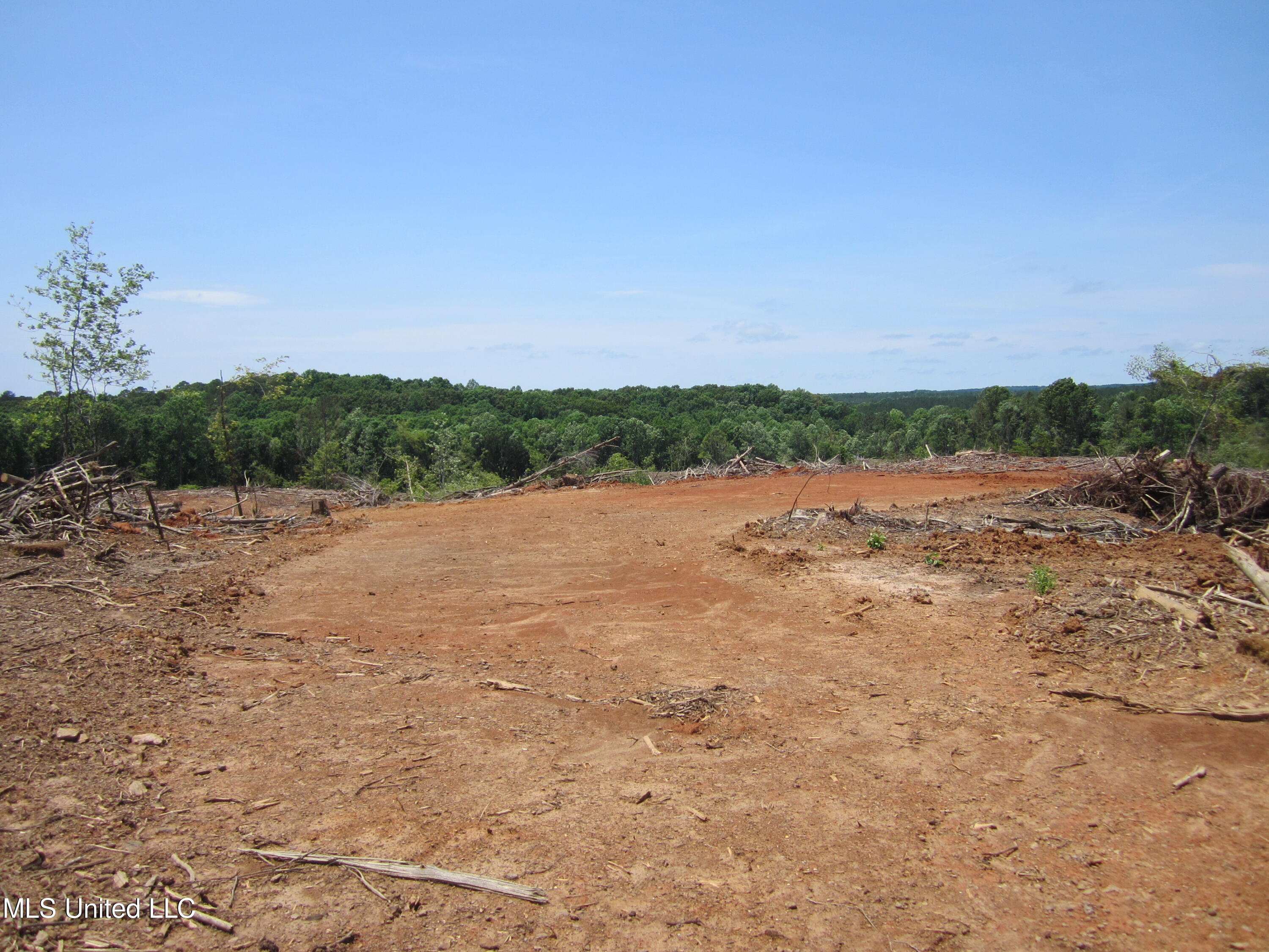 7 Co Road Hickory Flat, MS 38633 - Photo 4 of 20 IMG_7256