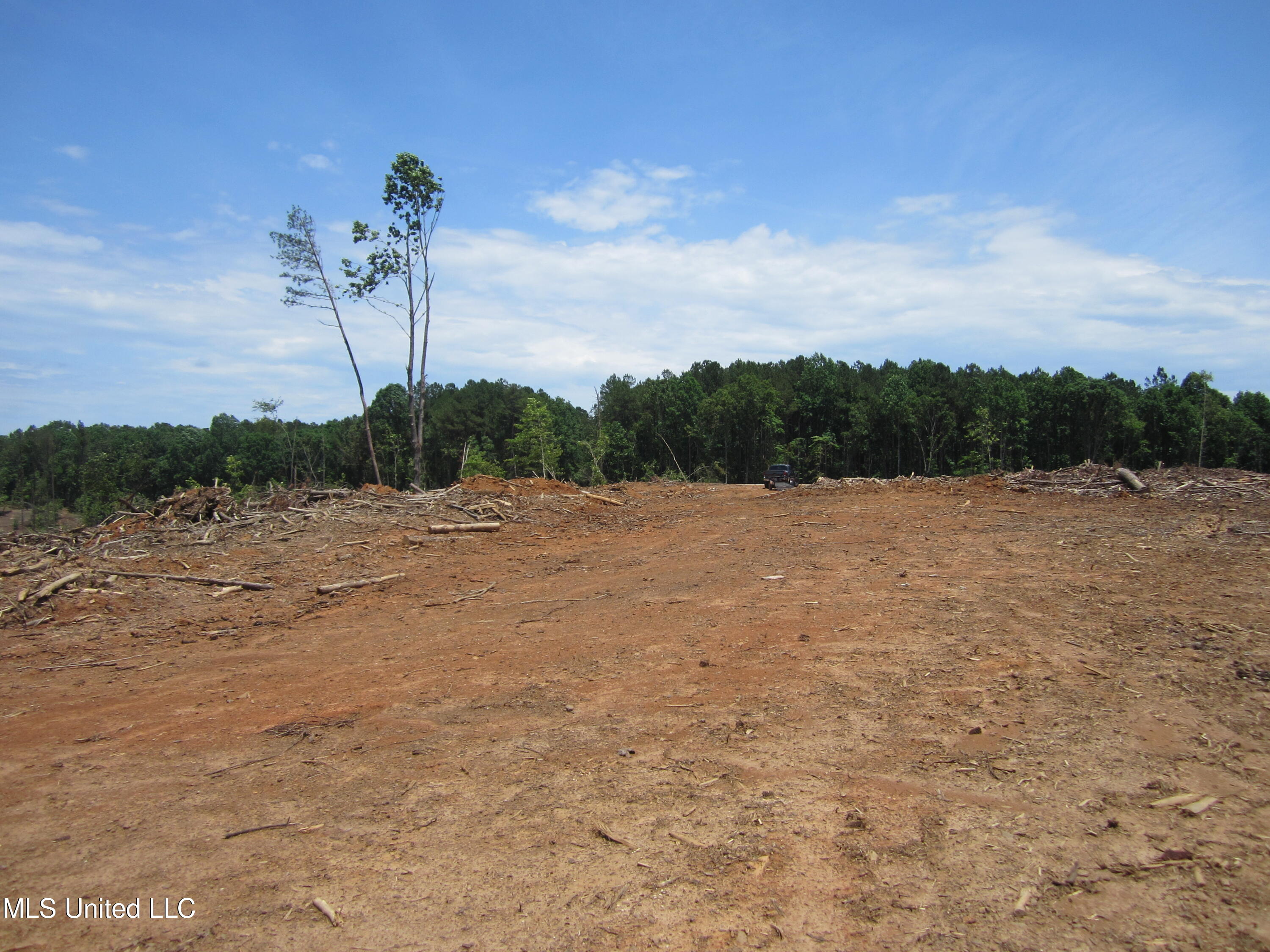 7 Co Road Hickory Flat, MS 38633 - Photo 5 of 20 IMG_7257