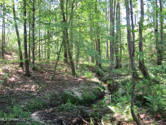 $298,310 | 7 Co Road, Hickory Flat, MS 38633