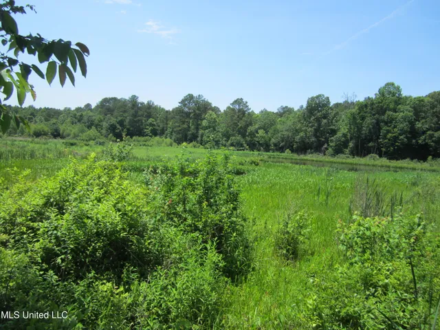 $298,310 | 7 Co Road, Hickory Flat, MS 38633