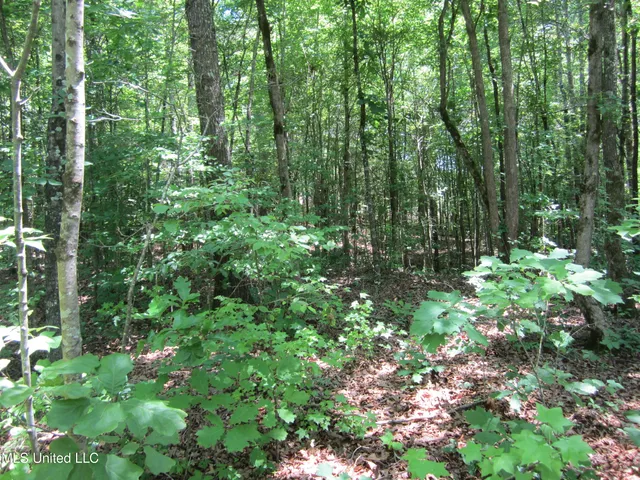 $298,310 | 7 Co Road, Hickory Flat, MS 38633